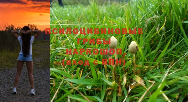 МДПВ Кукмор