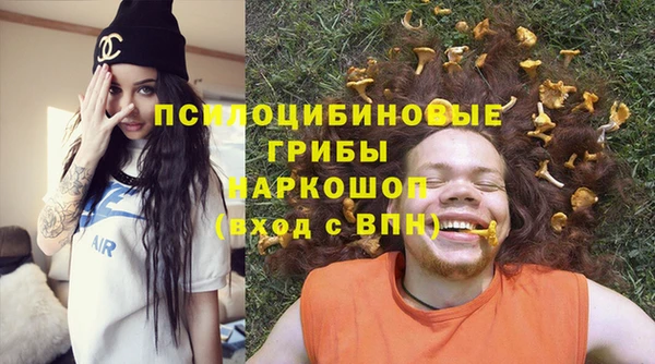 МДПВ Кукмор