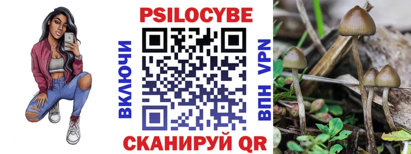 Галлюциногенные грибы Magic Shrooms  даркнет сайт  Шали 