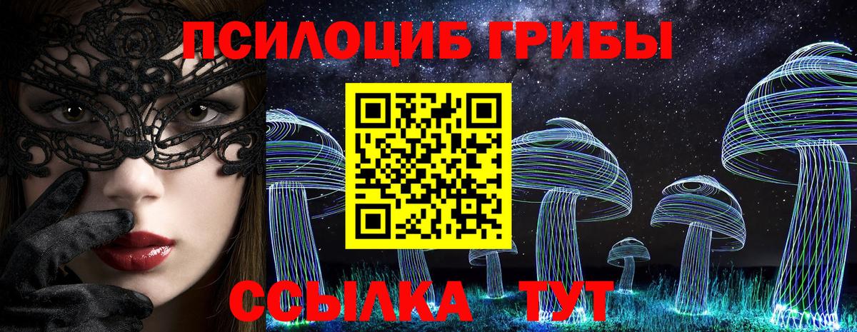 Шали  Псилоцибиновые грибы Psilocybine cubensis  Псилоцибиновые грибы Psilocybe  Вход с VPN 