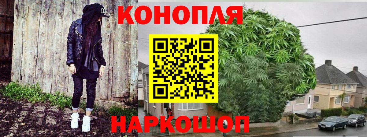 МАРИХУАНА OG Kush Шали